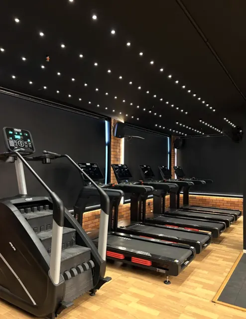 Row of treadmills and a stair climber